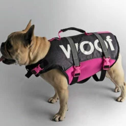 Follow Gilet De Sauvetage Pour Chien Rose